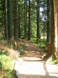 Wanderweg am Oderteich